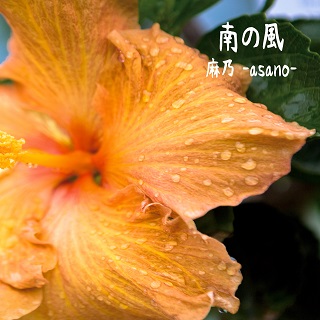 麻乃-asano-「南の風」
