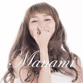 Jungolden night REMIX/Manami