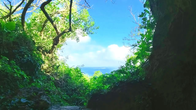 沖縄の自然音に癒される 沖縄の癒し音楽を 沖縄ちゅらサウンズスマホ