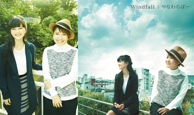 やなわらばー「Windfall」